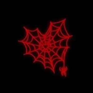 Meet your Posher, Achides